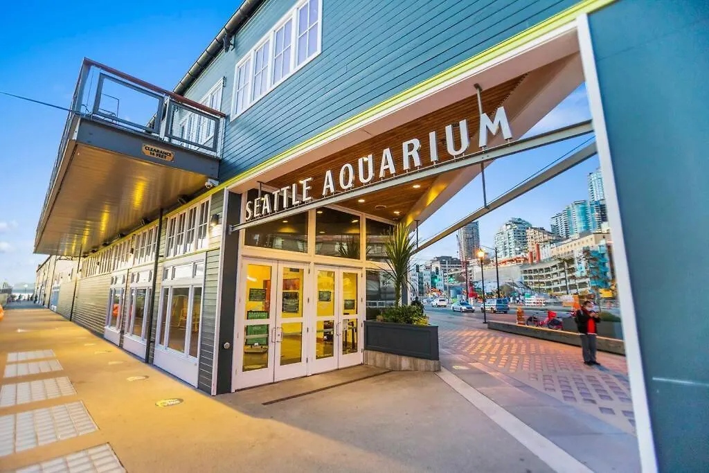 Apartment Starlit Cozy Studio In Elektra With Roof Decks Seattle USA